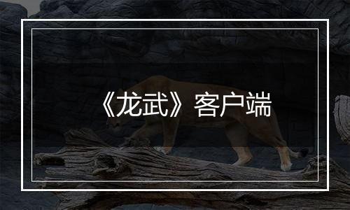 《龙武》客户端