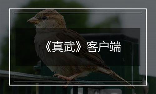 《真武》客户端