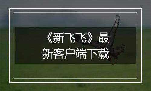 《新飞飞》最新客户端下载