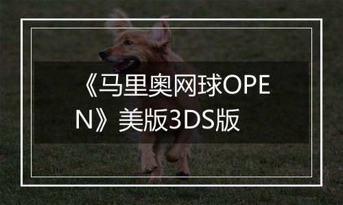 《马里奥网球OPEN》美版3DS版