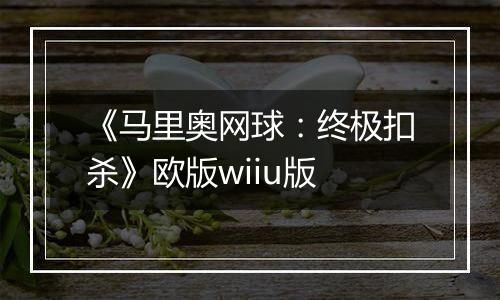 《马里奥网球：终极扣杀》欧版wiiu版