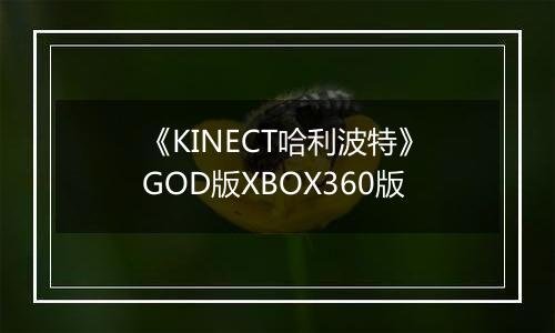 《KINECT哈利波特》GOD版XBOX360版