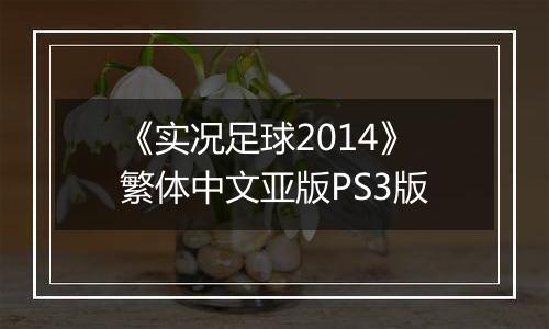 《实况足球2014》繁体中文亚版PS3版