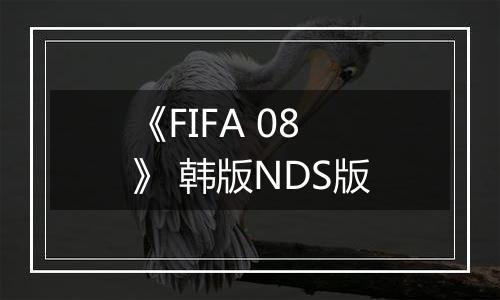 《FIFA 08》 韩版NDS版
