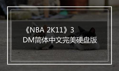 《NBA 2K11》3DM简体中文完美硬盘版