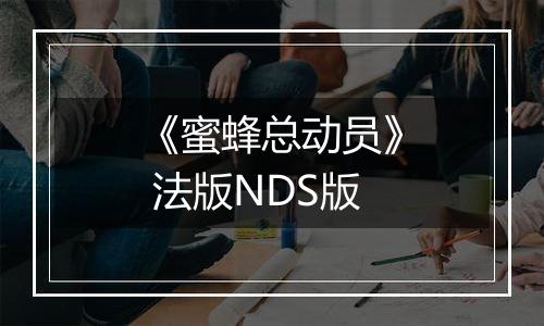 《蜜蜂总动员》 法版NDS版