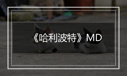 《哈利波特》MD