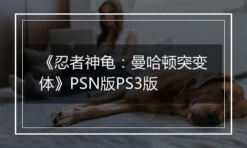 《忍者神龟：曼哈顿突变体》PSN版PS3版
