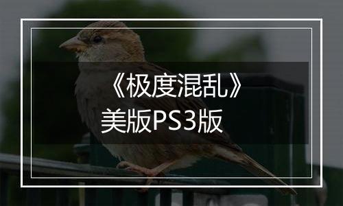 《极度混乱》美版PS3版