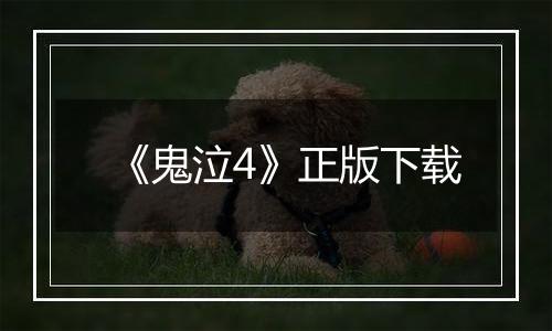《鬼泣4》正版下载