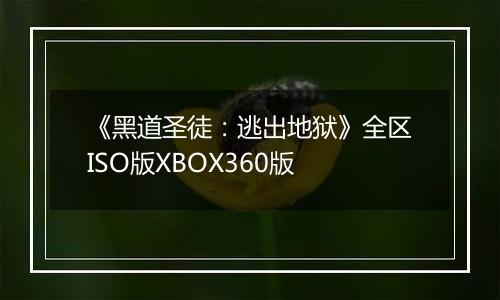 《黑道圣徒：逃出地狱》全区ISO版XBOX360版