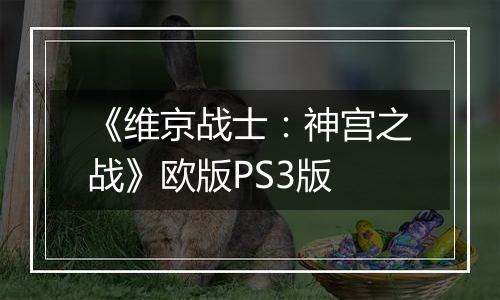 《维京战士：神宫之战》欧版PS3版