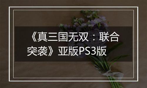 《真三国无双：联合突袭》亚版PS3版