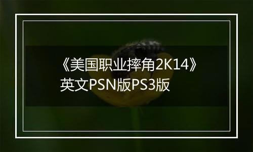 《美国职业摔角2K14》 英文PSN版PS3版