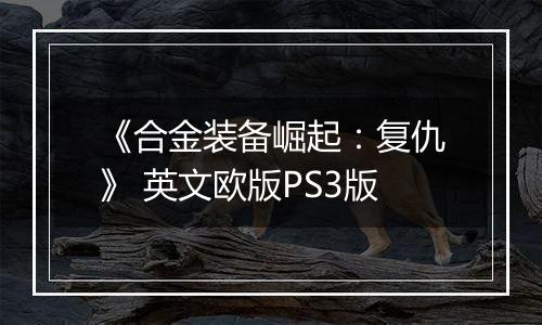 《合金装备崛起：复仇》 英文欧版PS3版