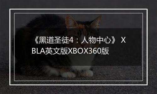 《黑道圣徒4：人物中心》 XBLA英文版XBOX360版