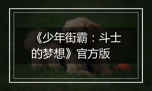 《少年街霸：斗士的梦想》官方版
