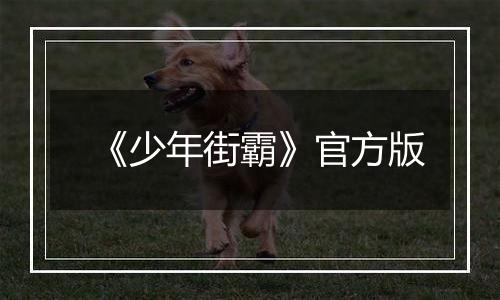 《少年街霸》官方版