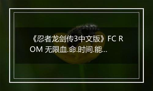 《忍者龙剑传3中文版》FC ROM 无限血.命.时间.能量版