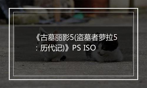 《古墓丽影5(盗墓者萝拉5：历代记)》PS ISO
