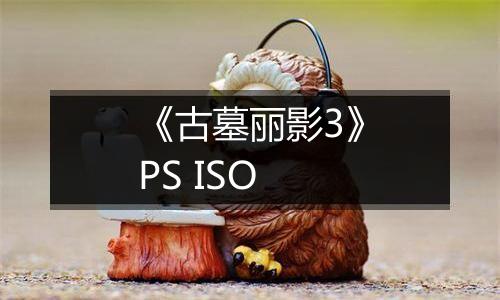 《古墓丽影3》PS ISO