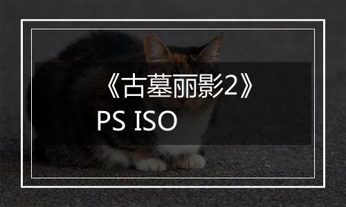 《古墓丽影2》PS ISO