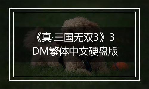 《真·三国无双3》3DM繁体中文硬盘版