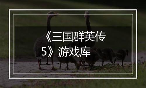《三国群英传5》游戏库