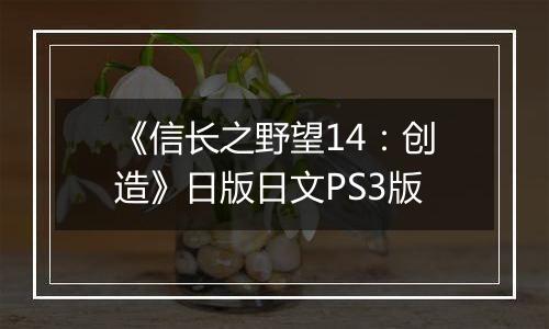 《信长之野望14：创造》日版日文PS3版