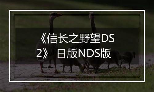《信长之野望DS 2》 日版NDS版