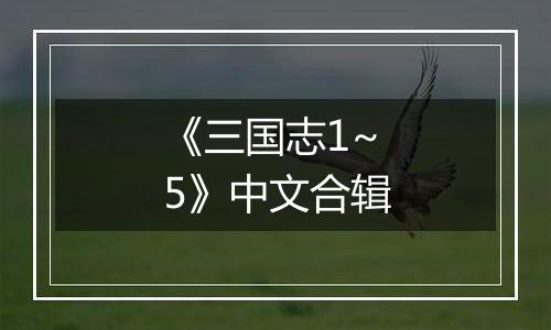 《三国志1~5》中文合辑