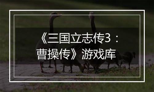《三国立志传3：曹操传》游戏库