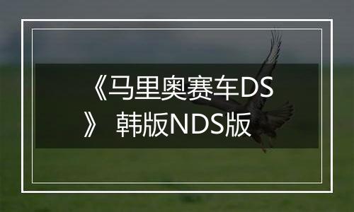 《马里奥赛车DS》 韩版NDS版