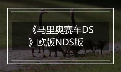 《马里奥赛车DS》欧版NDS版