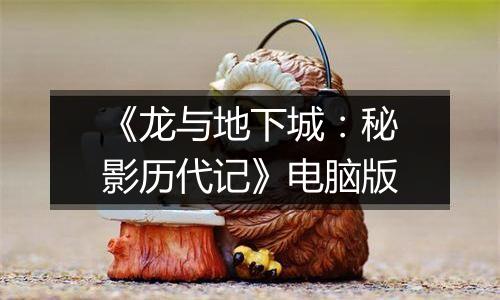 《龙与地下城：秘影历代记》电脑版