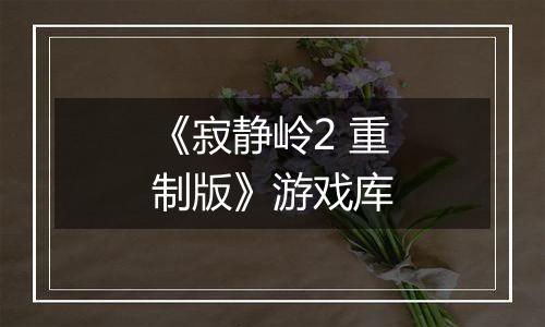 《寂静岭2 重制版》游戏库