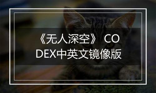 《无人深空》 CODEX中英文镜像版