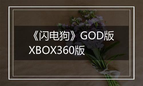《闪电狗》GOD版XBOX360版
