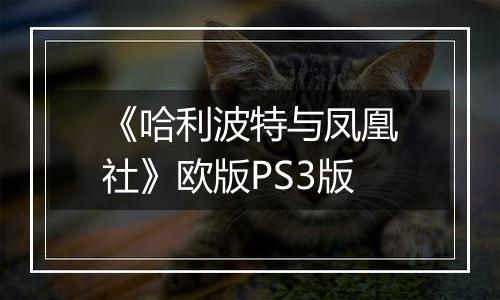 《哈利波特与凤凰社》欧版PS3版