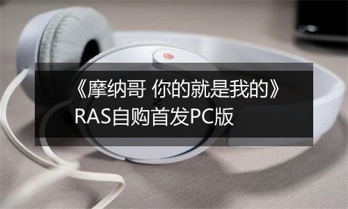 《摩纳哥 你的就是我的》 RAS自购首发PC版