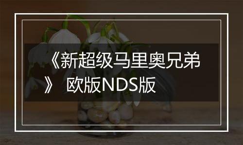 《新超级马里奥兄弟》 欧版NDS版