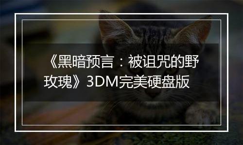 《黑暗预言：被诅咒的野玫瑰》3DM完美硬盘版