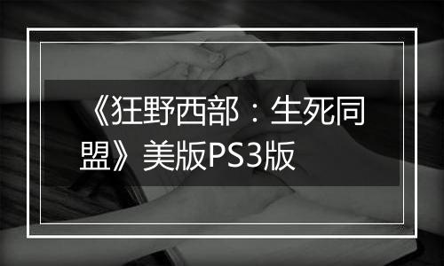 《狂野西部：生死同盟》美版PS3版