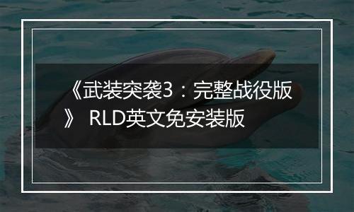 《武装突袭3：完整战役版》 RLD英文免安装版