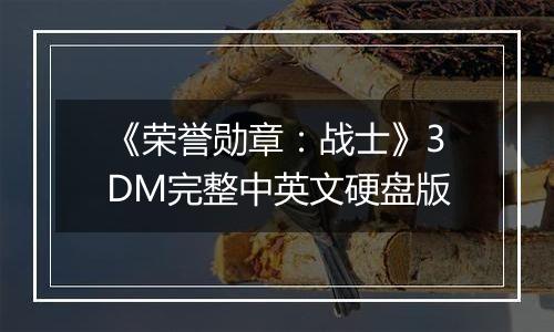 《荣誉勋章：战士》3DM完整中英文硬盘版