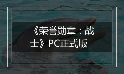 《荣誉勋章：战士》PC正式版