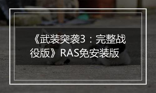 《武装突袭3：完整战役版》RAS免安装版
