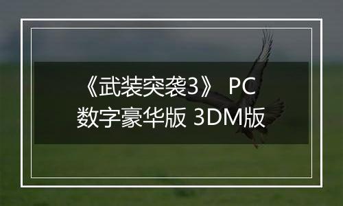 《武装突袭3》 PC数字豪华版 3DM版