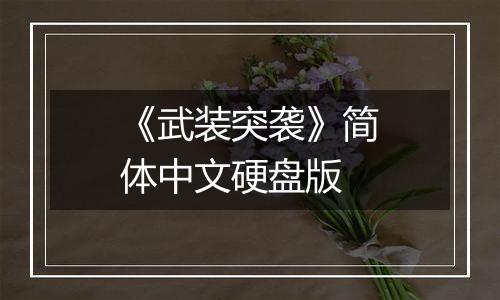 《武装突袭》简体中文硬盘版