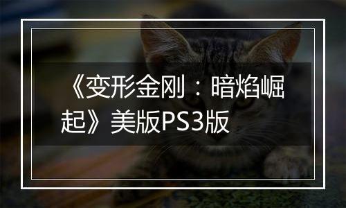 《变形金刚：暗焰崛起》美版PS3版